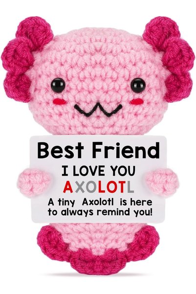 Generic Positive Pocket Axolotl Doll, Funny Emotional Support Knitted Axolotl...