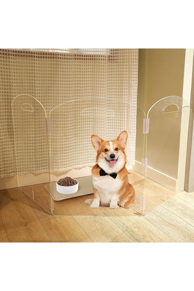 Generic Dog Gate, Clear Dog Barrier Acrylic Pet Gate for Dogs, Free Standing ...