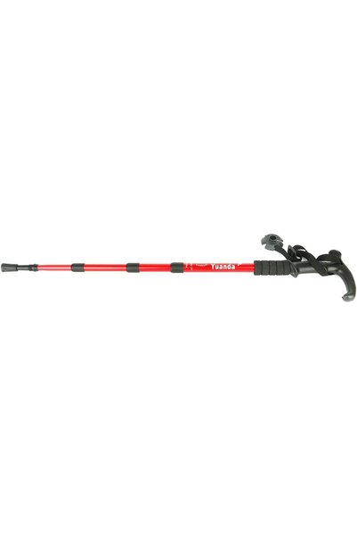 Generic Hiking Stick