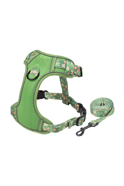 Noonedibs Set lesă verde militar pentru animale de companie: ham fără tensiun...