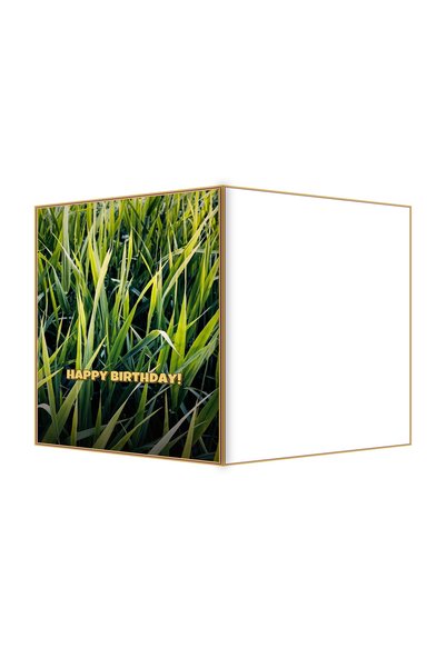 OEM Felicitare Aniversare Fire de Iarbă Suprapuse, Design Elegant, 13.3x19.4cm