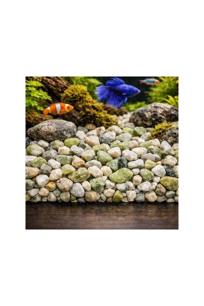 Jumbo Pietris Decorativ pentru Acvariu 350g