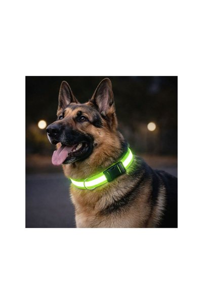 Jumbo Zgarda cu Banda Reflectorizanta pentru Caini 60x2,5cm