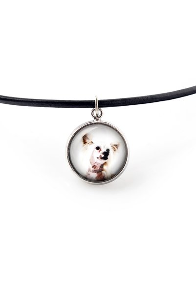Art - Dog Câine Chinezesc cu creastă - pandantiv pentru colier cu fotografia ...
