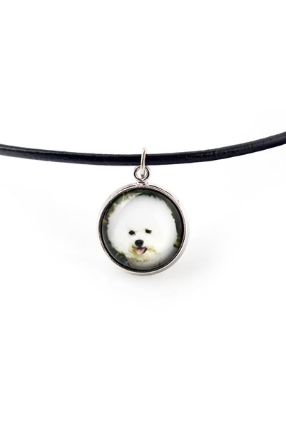 Art - Dog Bichon Frise, Bichon Tenerife - pandantiv pentru colier cu fotograf...