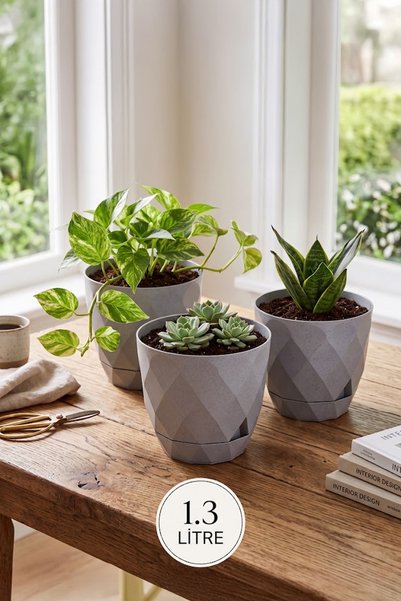 TEMMUZ HOME 2 No 3 Adet Yakamoz Kaktüs Çiçek ve Bitki Saksısı 1.3 Litre(İlan ...