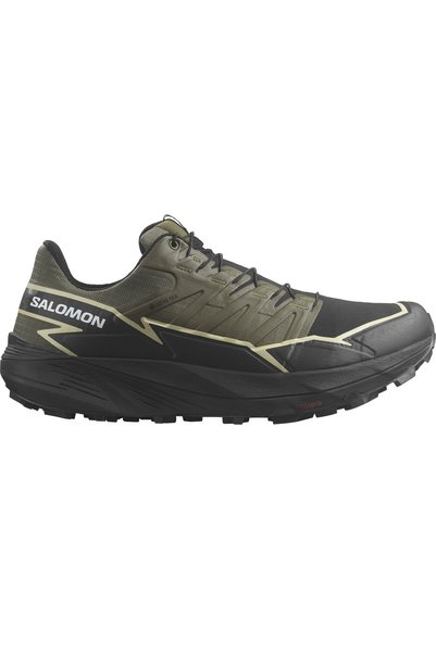 Salomon Salomon Men's Running Shoes L47383400 green