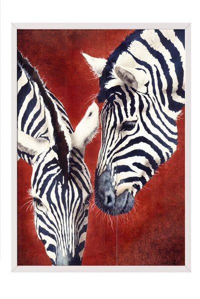 Postifull "Two Zebras Interacting" Poster – White-Framed Artwork No. 160613