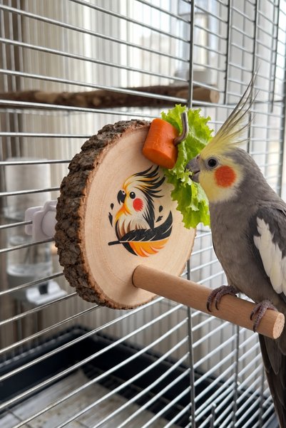 Mivra Pets لعبة طيور خشبية طبيعية مع حامل للخضروات والفواكه، ملحق لقفص الطيور