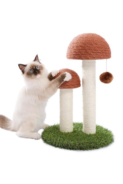 PETEPELA Cat Scratching Post, Mushroom Tall Cat Scratcher Featuring with Natu...