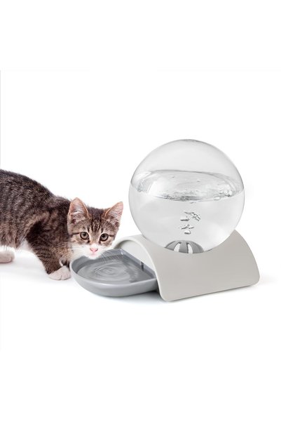 TERRIFI Pet Water Dispenser for Cats, Dogs and Rabbits, Automatic Gravity Wat...