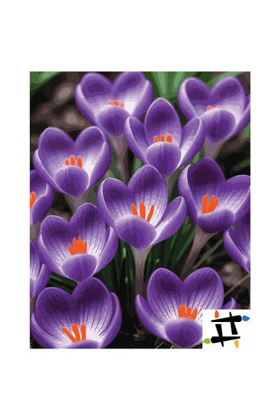 Painting-numbers Set pictura pe numere Amurgul violet 7264, panza pe rama lem...