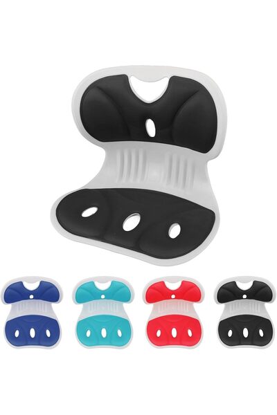 NALACAL Ergonomic Chair Back Support, Office Chair Cushion, Lumbar Back Suppo...