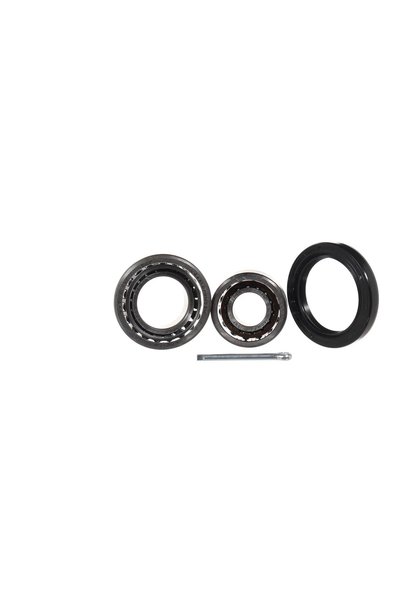 SKF Kit rulment roată VKBA 505