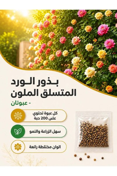 Generic بذور ورد متعدد الألوان، تزهر على مدار العام، نباتات متسلقة عطرية تنمو...