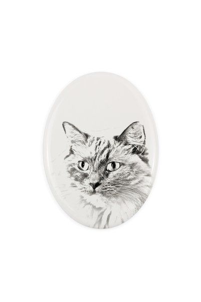 Art - Dog Placă comemorativă din ceramică Art-Dog cu pisică Ragdoll și imprim...
