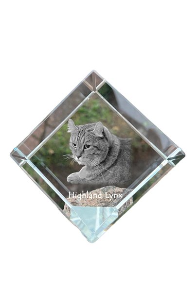 Art - Dog Prespapier cub de cristal Art-Dog Highlander Cat cu gravură de pisi...