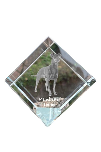 Art - Dog Prespapier cub de cristal Art-Dog Manchester Terrier cu gravură de ...