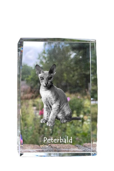 Art - Dog Art-Dog Cristal Mare cu Margini Decorative Peterbald cu Gravură Pisică
