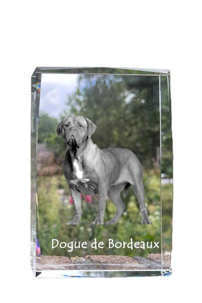 Art - Dog Art-Dog Cristal Mare cu Margini Decorative Dogue de Bordeaux cu Gra...