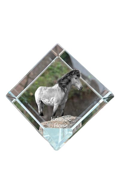 Art - Dog Prespapier Cub de Cristal Art-Dog, Cal Islandez cu Gravură de Cal