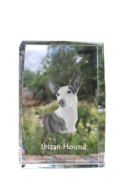 Art - Dog Art-Dog Cristal Mare cu Margini Decorative, Ibizan Hound cu Gravură...