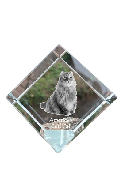 Art - Dog Prespapier Cub de Cristal Art-Dog American Curl cu Gravură Pisică -...