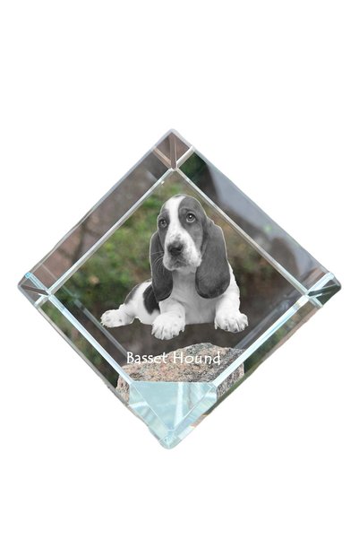 Art - Dog Prespapier Cub de Cristal Art-Dog cu Basset Hound și Gravură de Câi...