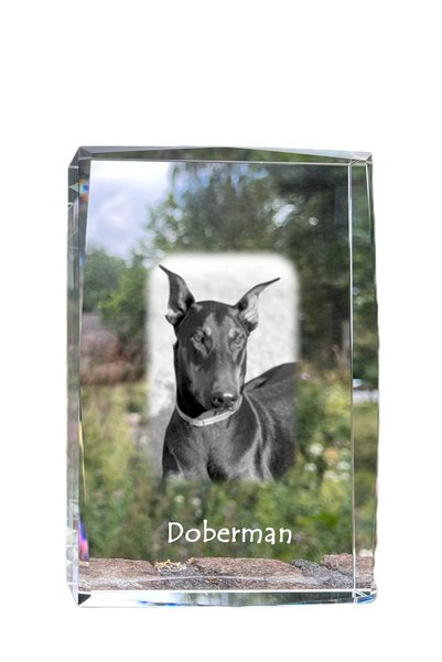 Art - Dog Art-Dog Cristal Mare cu Margini Decorative Doberman cu Gravură de C...