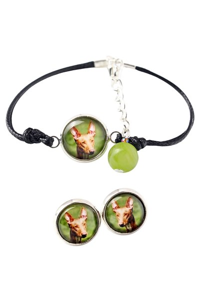 Art - Dog Set de brățară și cercei Art-Dog Pharaoh Hound cu fotografie de câine