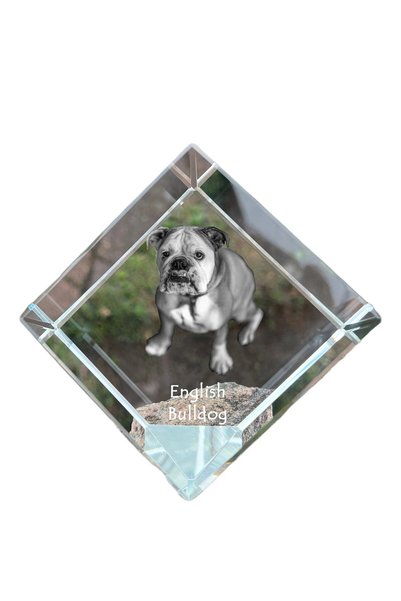 Art - Dog Prespapier cub de cristal Art-Dog Bulldog englez cu gravură de câin...