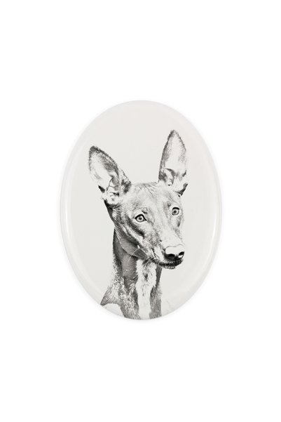 Art - Dog Placă comemorativă din ceramică Art-Dog Pharaoh Hound cu imprimeu d...