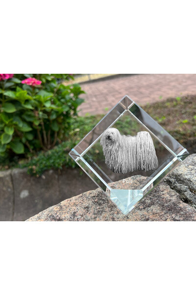 Art - Dog Prespapier cub de cristal Art-Dog Puli cu gravură de câine - Crista...