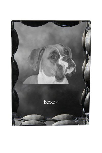 Art - Dog Cutie dreptunghiulară din cristal Art-Dog cu margini decorative și ...