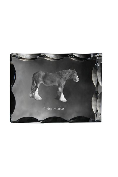 Art - Dog Art-Dog Cristal dreptunghiular cu margini decorative, cal Shire cu ...