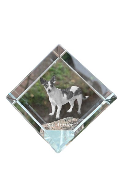 Art - Dog Prespapier cub de cristal Art-Dog, Rat Terrier cu gravură de câine ...