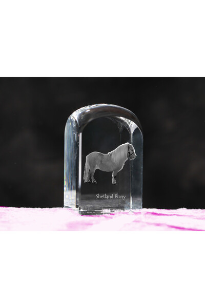 Art - Dog Prespapier de cristal Art-Dog, ponei Shetland cu gravură de cal - C...
