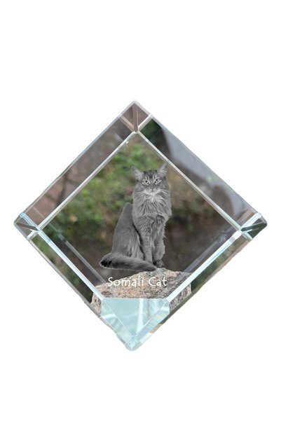 Art - Dog Prespapier Cub de Cristal Art-Dog Pisică Somali cu Gravură Pisică -...