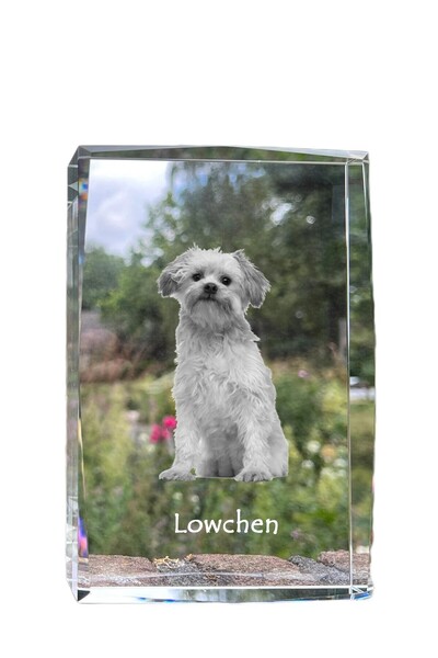Art - Dog Art-Dog Cristal Mare cu Margini Decorative Löwchen cu Gravură Canină