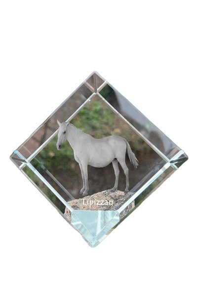 Art - Dog Prespapier cub de cristal Art-Dog cu gravură de cal Lipizzaner - Cr...