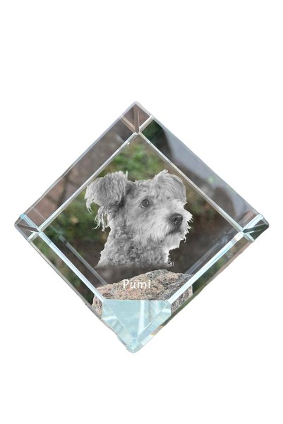 Art - Dog Prespapier cub de cristal Art-Dog Pumi cu gravură de câine - Crista...