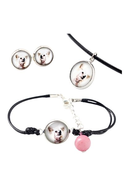 Art - Dog Set de colier, cercei și brățară Art-Dog cu câine crestat chinezesc...