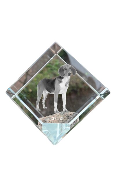 Art - Dog Prespapier cub de cristal Art-Dog Harrier cu gravură de câine - Cri...