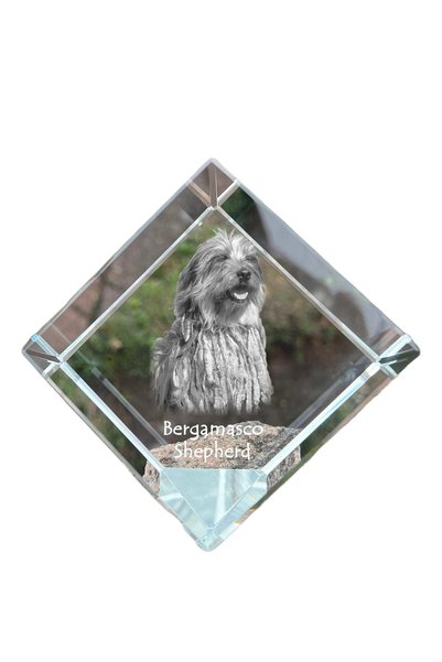 Art - Dog Prespapier Cub de Cristal Art-Dog, Câine Bergamasco cu Gravură