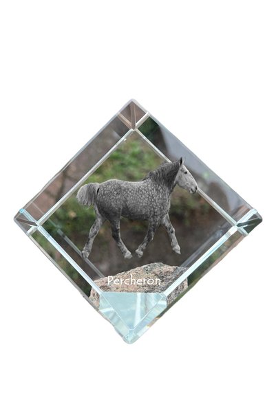 Art - Dog Prespapier cub de cristal Art-Dog, cal Percheron cu gravură de cal