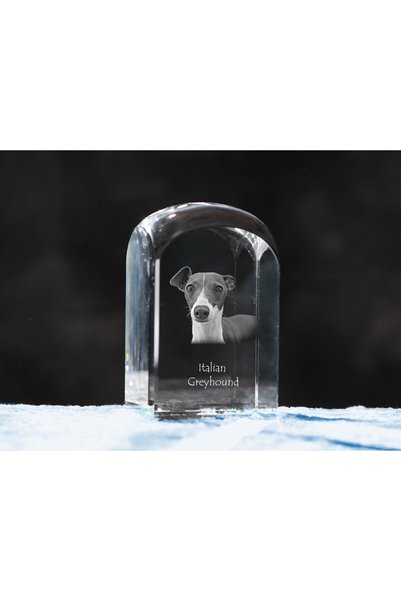 Art - Dog Prespapier de cristal Art-Dog cu galergo italian și gravură de câin...