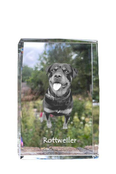 Art - Dog Art-Dog Cristal mare cu margini decorative Rottweiler cu gravură de...