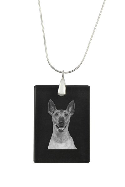 Art - Dog Colier cu pandantiv de cristal Art-Dog pe lanț placat cu argint, Xo...