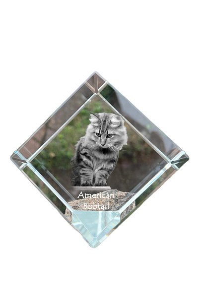Art - Dog Prespapier Cub de Cristal Art-Dog American Bobtail cu Gravură Pisic...