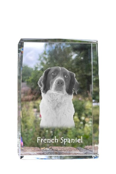 Art - Dog Art-Dog Cristal mare cu margini decorative, Spaniol francez cu grav...